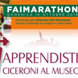 f6561f9f-ff8a-4daa-ad3d-956b1ab4d480