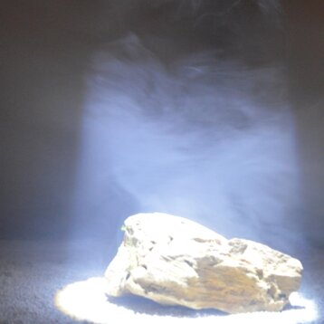 baa30370-55dc-4d50-b7bf-c0d93e20abb3