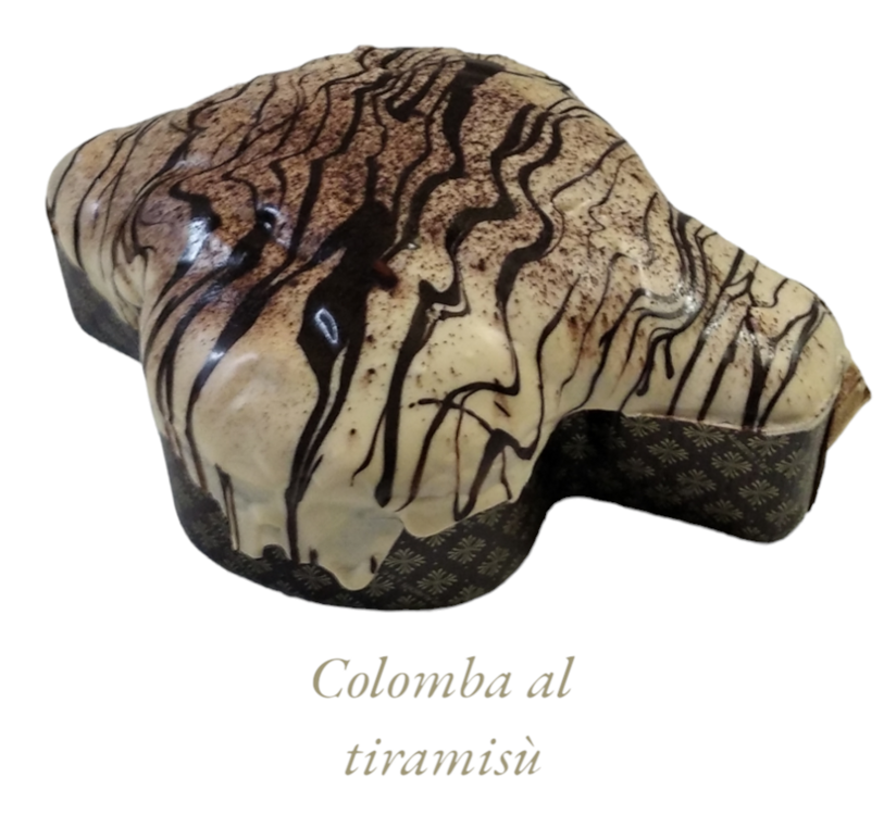 12f348cc-908c-41d9-b79c-a2eed5c0b193