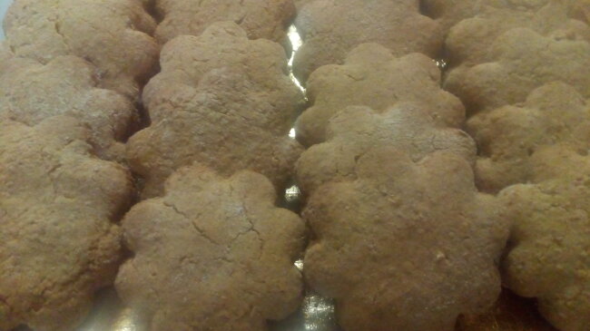 731692e4-2789-466f-aa36-2532ea383b36 731692e4-2789-466f-aa36-2532ea383b36