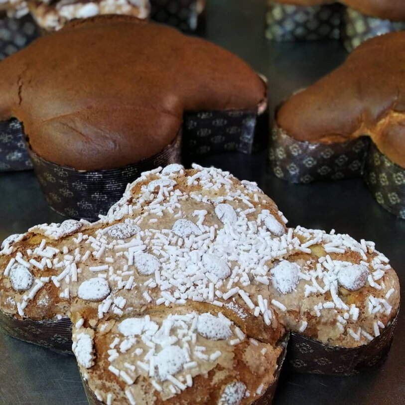 b244f231-8e48-4b89-9a05-6091d3d116ce