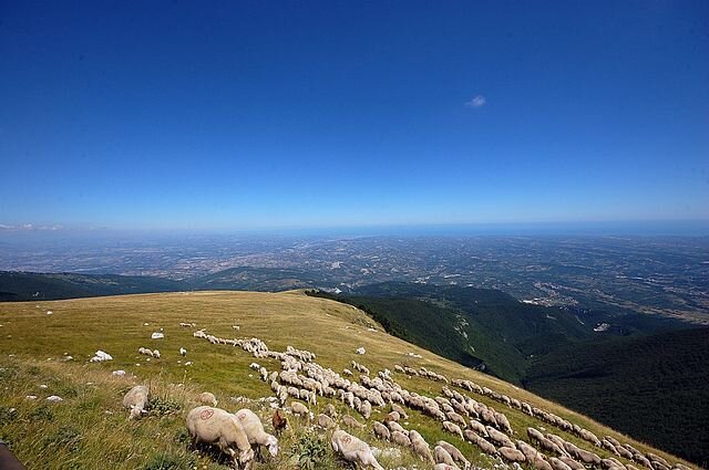 Newsletter 17. Maggio-giugno 2021