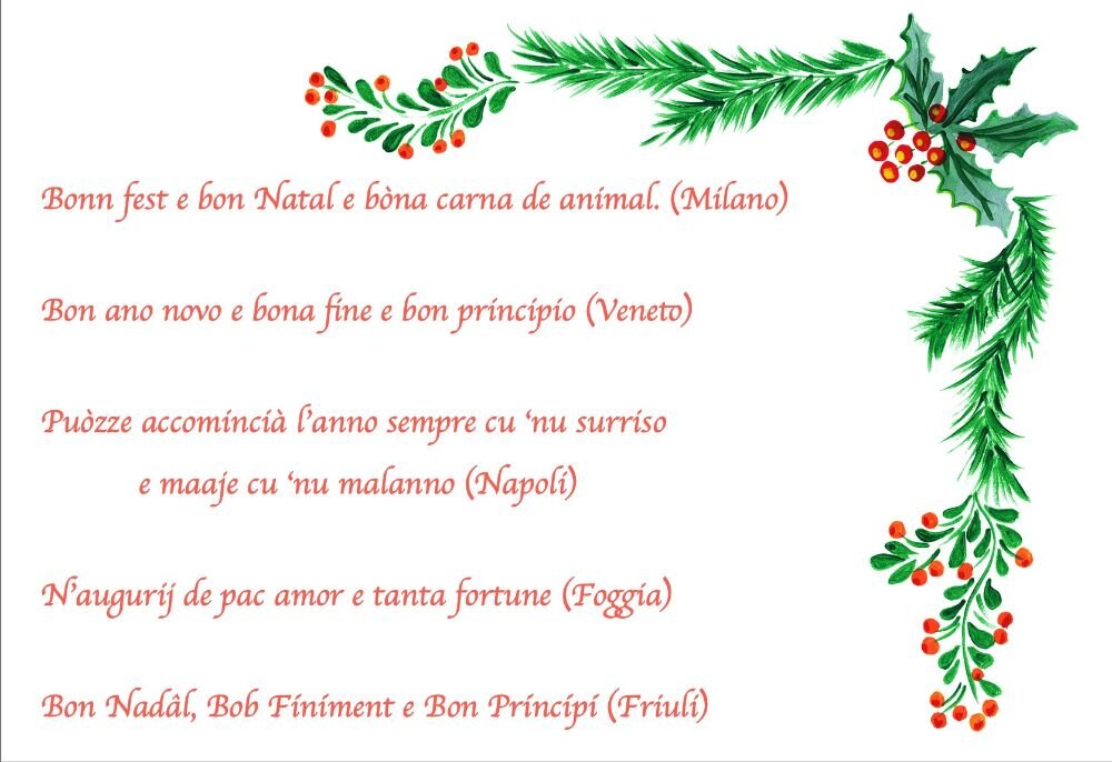 Newsletter 32. Novembre-dicembre 2024