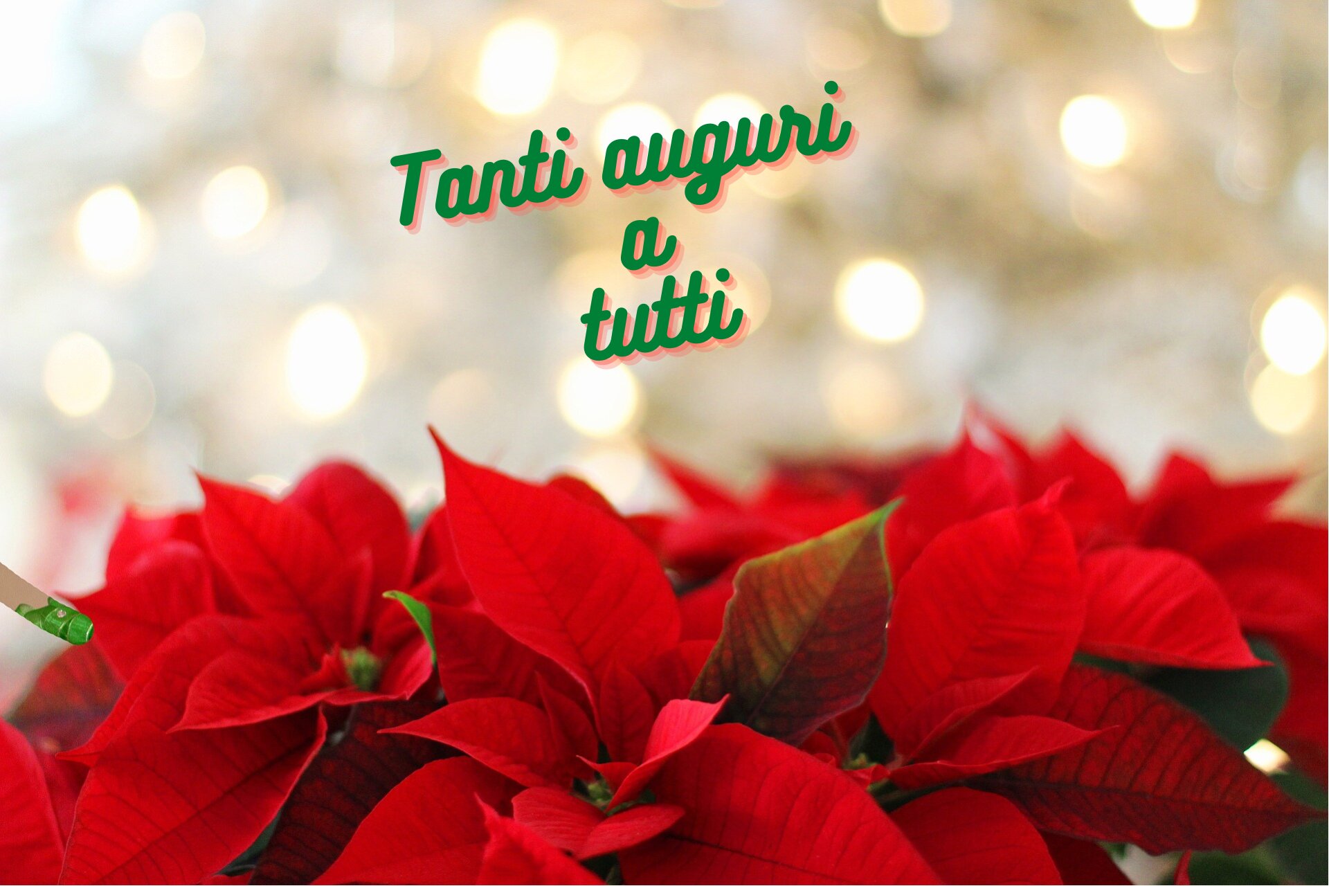 Newsletter 23 - Nov- Dic 2022