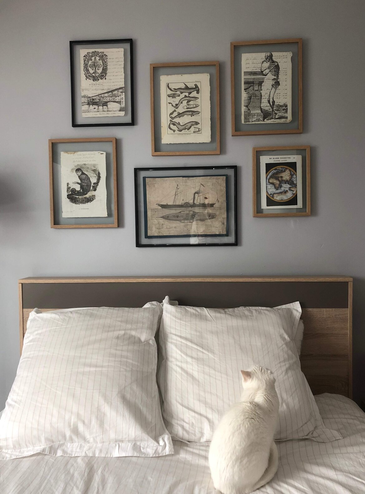 b4425231-5cc9-44ef-b222-86c687a7af3d