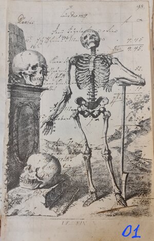 anatomia-manoscritto