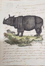 rinoceronte-rinoceros-manoscritto