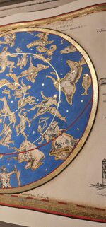 planisphere-celeste-blugold