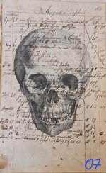 anatomia-manoscritto