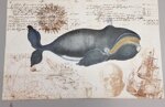 balena-whale-old-paper
