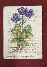 old-paper-flower-06