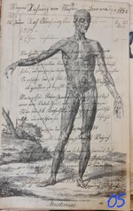 anatomia-manoscritto