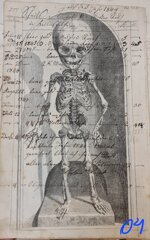 anatomia-manoscritto