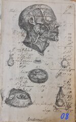 anatomia-manoscritto