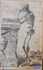 anatomia-manoscritto