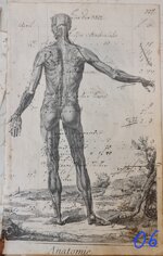 anatomia-manoscritto