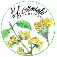 logo circolare_contorno verde (1)