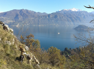 biodiversitÃ 3
