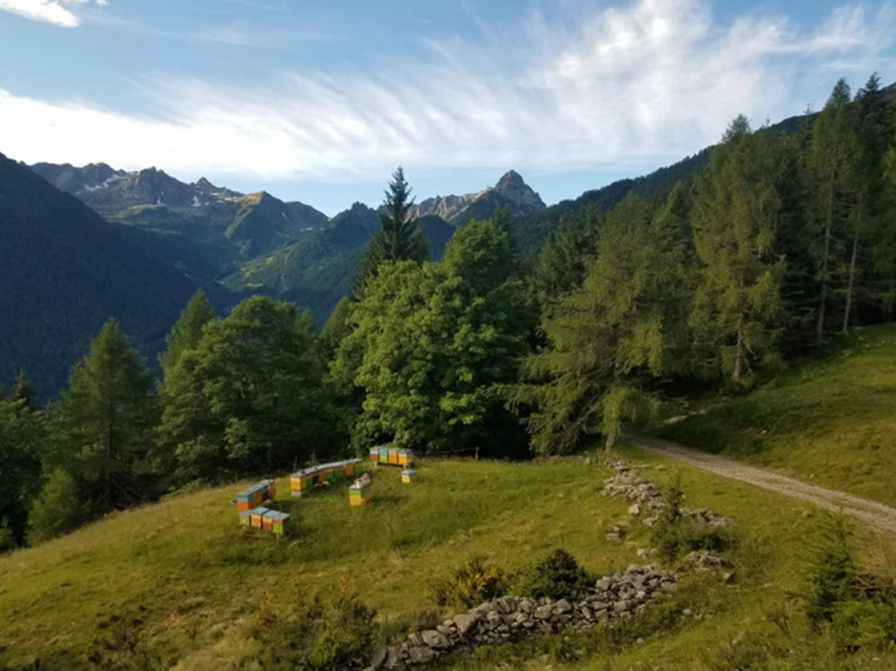 altamontagna2