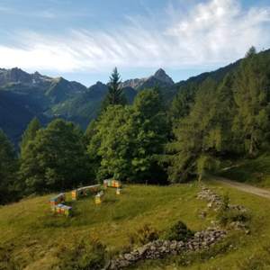 altamontagna1