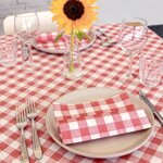 tovaglioli-40x40-airlaid-cartone