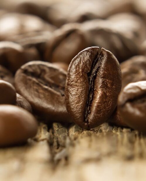 53aff095-c9bb-46ff-88b3-d86c41c29602