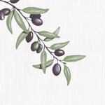 tovaglioli-40x40-airlaid-cartone