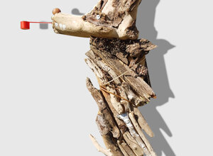 cigno.jpeg cigno.jpeg