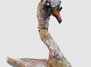 480758008_1225541652906545_192355425619292698_n.jpeg 480758008_1225541652906545_192355425619292698_n.jpeg