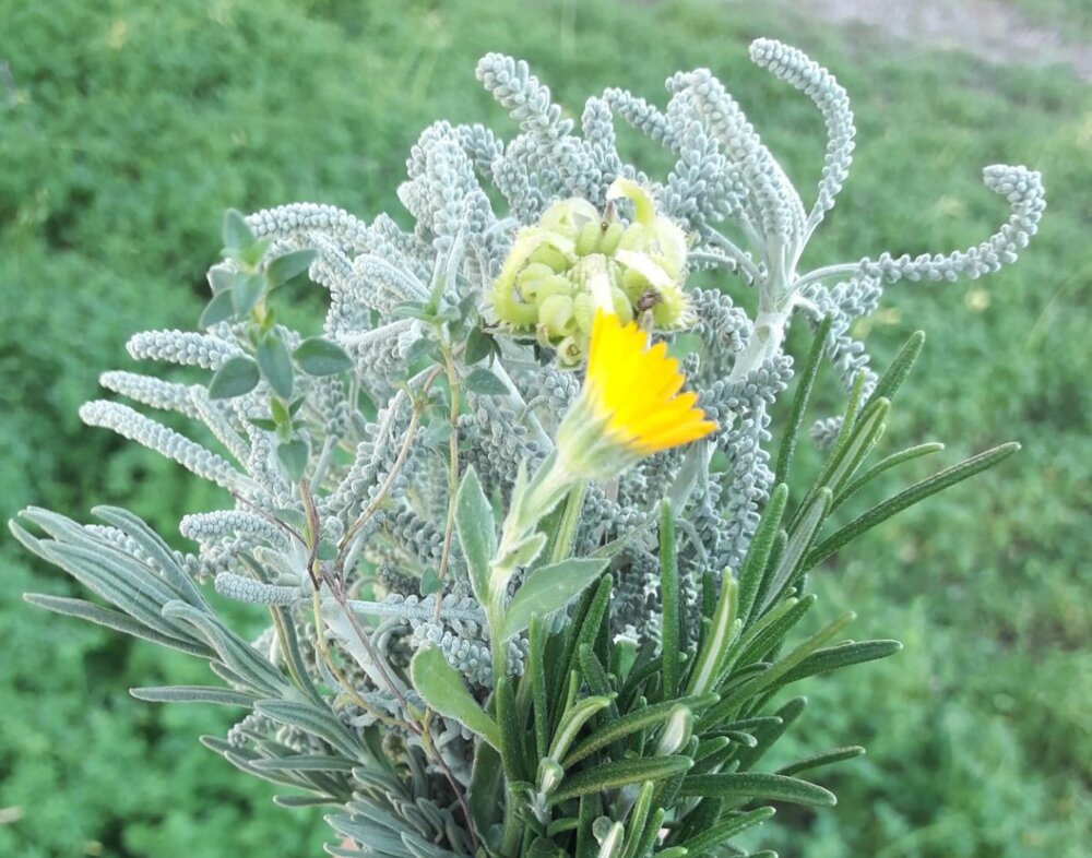 33ac8fab-9452-4a5c-8195-8a9516bbb941