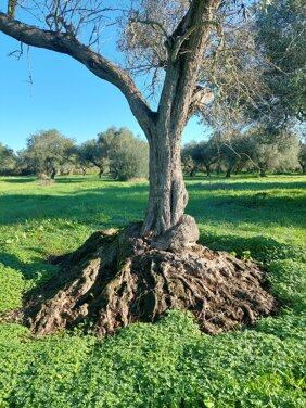 867bfe1f-df04-4aa3-8dd7-6279d6c5b80b