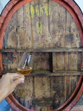 188ac2b9-9374-4506-9f03-567ec1d0b009