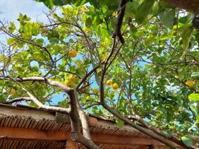 caebf8f6-02b7-4b29-bb56-2ce30b09f0af