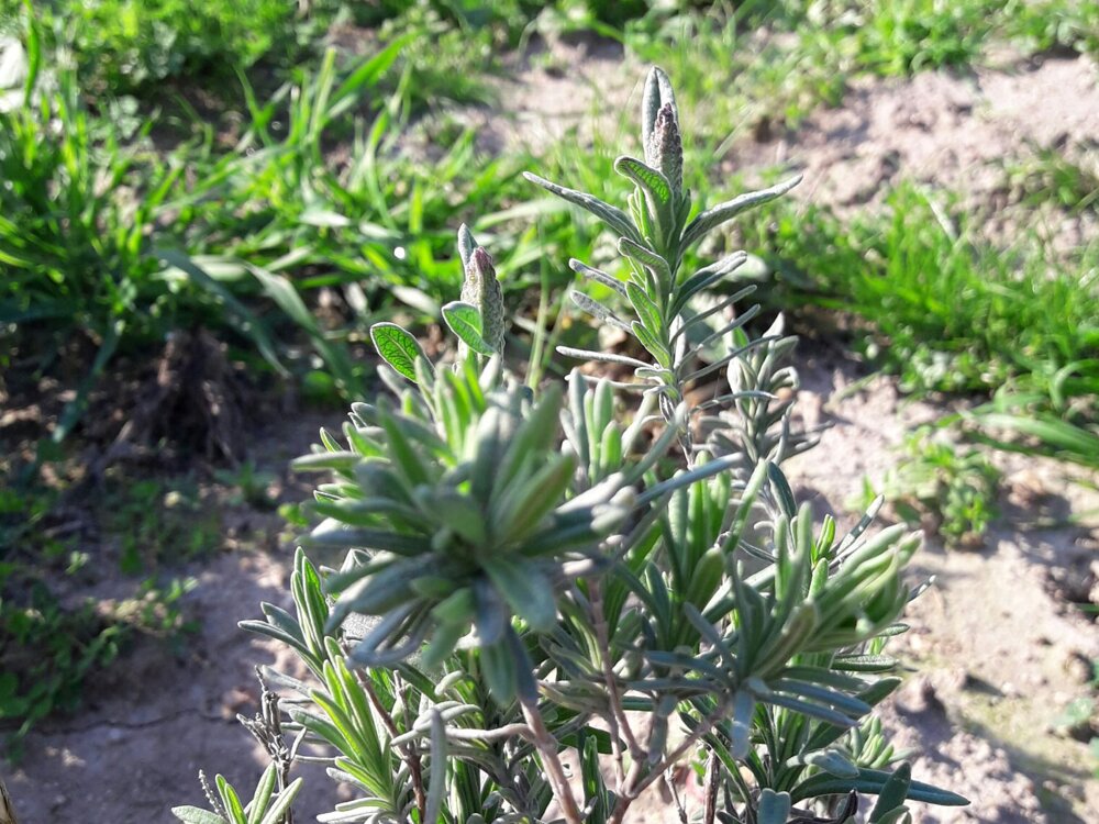 356ae4b9-d9ef-4594-8c7b-b07289cbe602