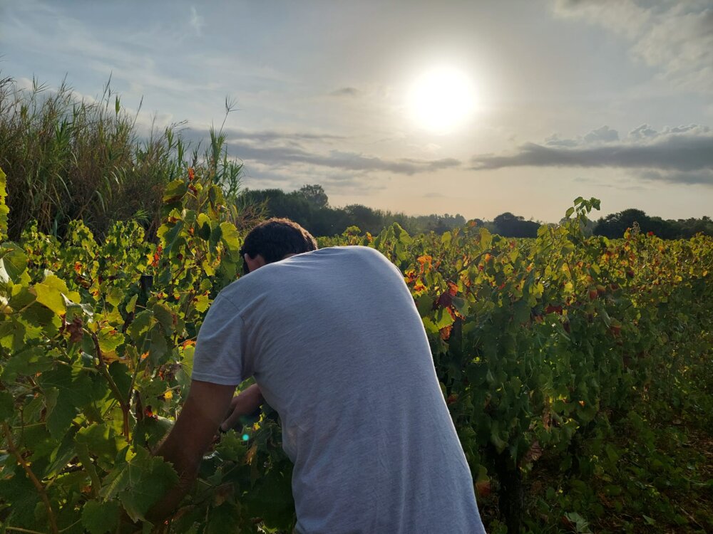 d8c9017d-7906-4258-9b6d-8b29623cd4ba