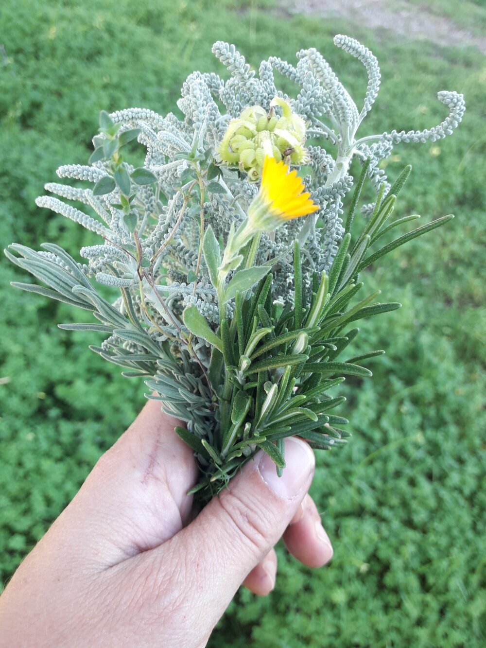 d76bd66c-f95e-4eb5-8b6c-660326326c63