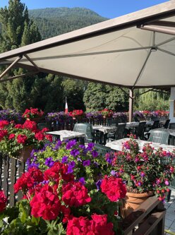 84892f3f-3414-4835-86eb-9dee53911112