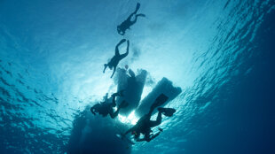 4e6ef465-3072-4ff4-9d43-77b1e1bdb779 4e6ef465-3072-4ff4-9d43-77b1e1bdb779