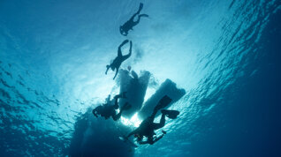 4e6ef465-3072-4ff4-9d43-77b1e1bdb779