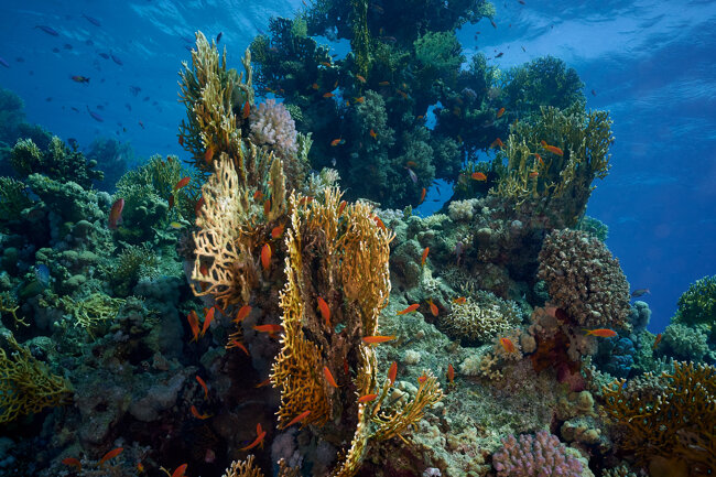 d8205180-3483-4b68-a351-164e0c05372e