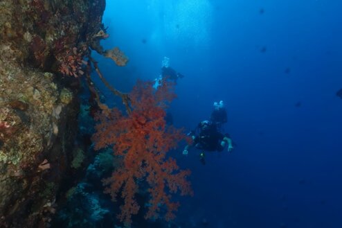 whatsapp image 2022-11-06 at 1.45.30 pm (5).jpeg