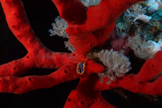 whatsapp image 2022-11-06 at 1.45.31 pm (1).jpeg