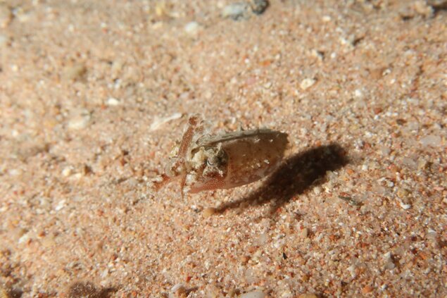 whatsapp image 2022-11-06 at 1.45.32 pm (1).jpeg