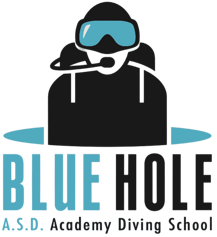 nuovo logo bluehole no sfondo