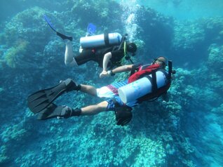 whatsapp image 2022-11-06 at 1.39.54 pm (1).jpeg