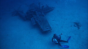 ca241278-a777-460c-9b39-7d5d93754a2b ca241278-a777-460c-9b39-7d5d93754a2b