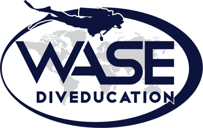 logo wase scontornato