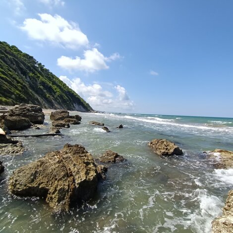 34660_b4f920671b41670eb6140c582335183bac9198ee 34660_b4f920671b41670eb6140c582335183bac9198ee