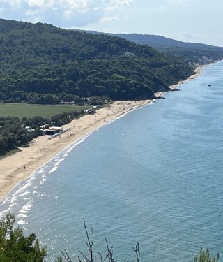 34660_3ba5df2367fd01f5ed1a60dd72626a06f85a24d1 34660_3ba5df2367fd01f5ed1a60dd72626a06f85a24d1