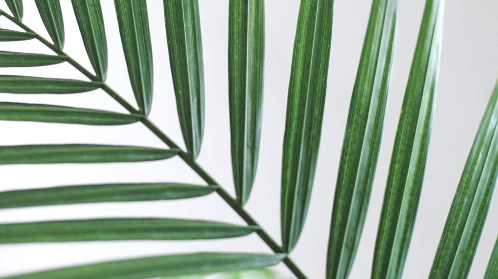 default_image-3 default_image-3